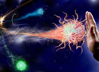 Rafforzare il tuo sistema immunitario per rimanere in salute sistema immunitario